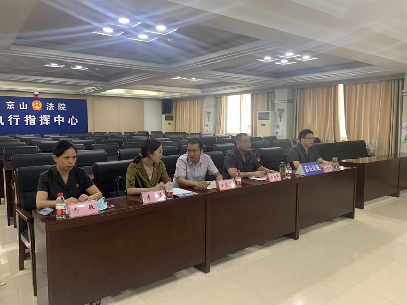 京山法院分会场：省人大代表李芹_副本.jpg